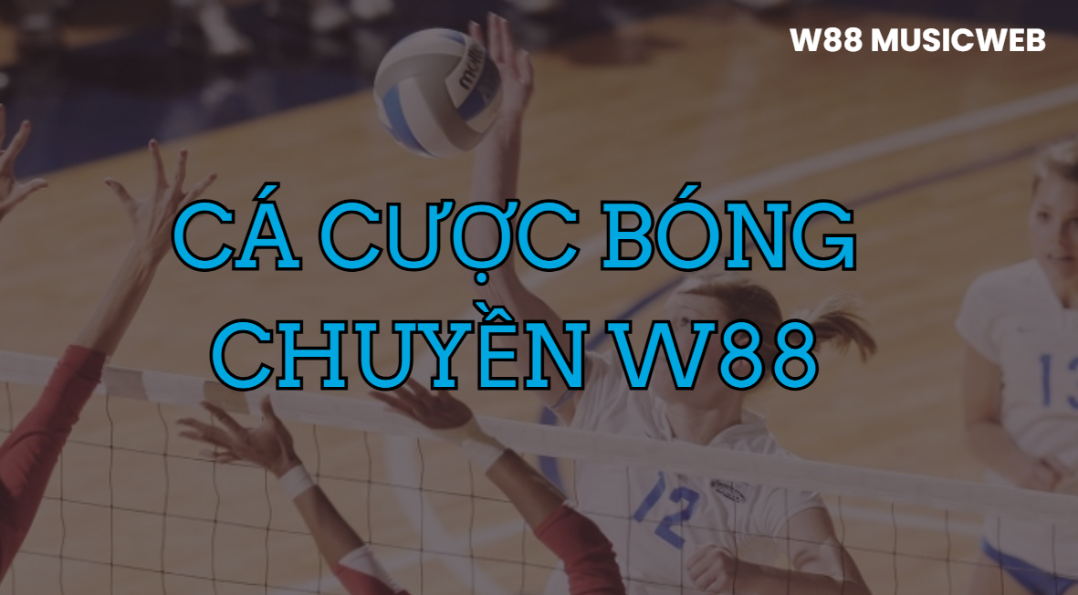 Cá cược bóng chuyền W88 Cá cược bóng chuyền W88