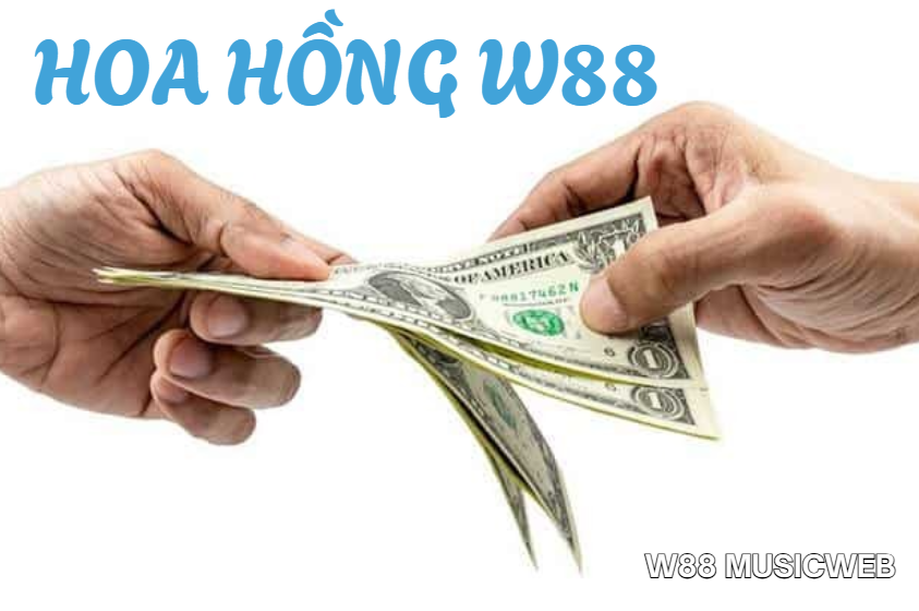 Hoa hồng W88